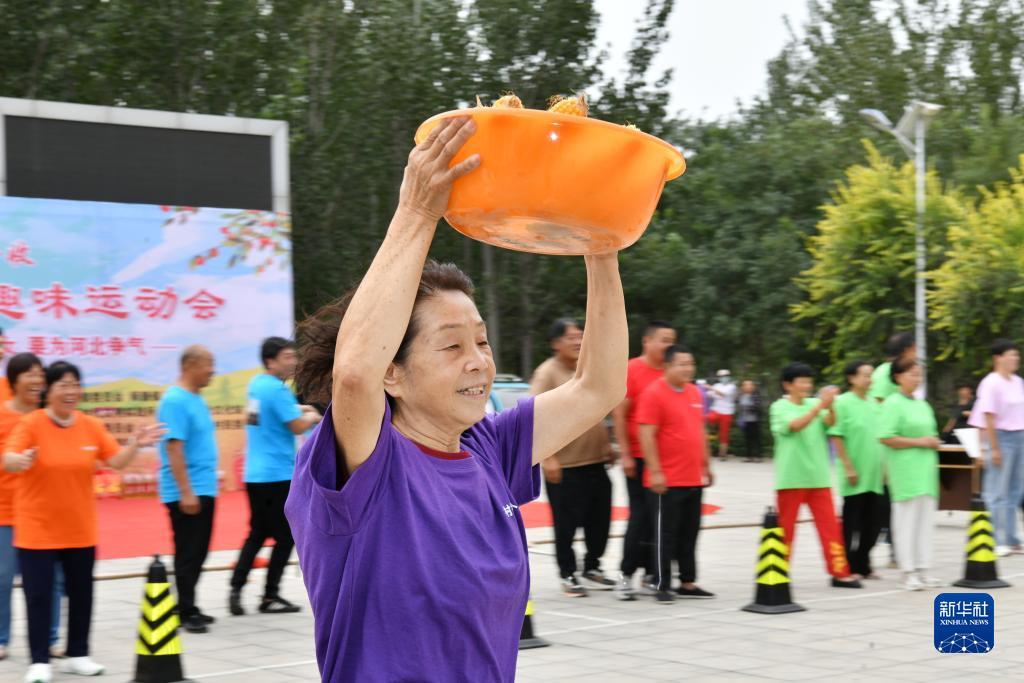 十博网站怎么进入